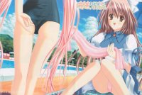 BUY NEW white clarity - 110464 Premium Anime Print Poster